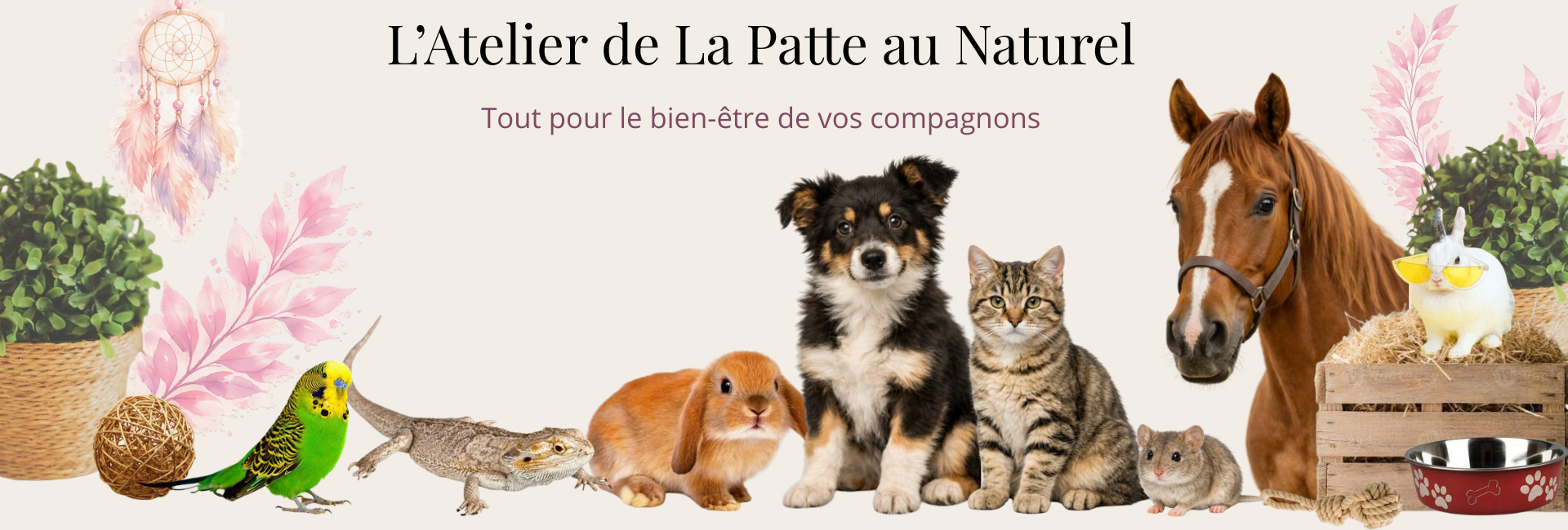 l’atelier de la patte au naturel (3)