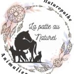 cropped 431522348 962489262165339 3840661370563621181 n 1