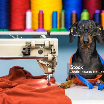 istockphoto 1084985856 1024x1024